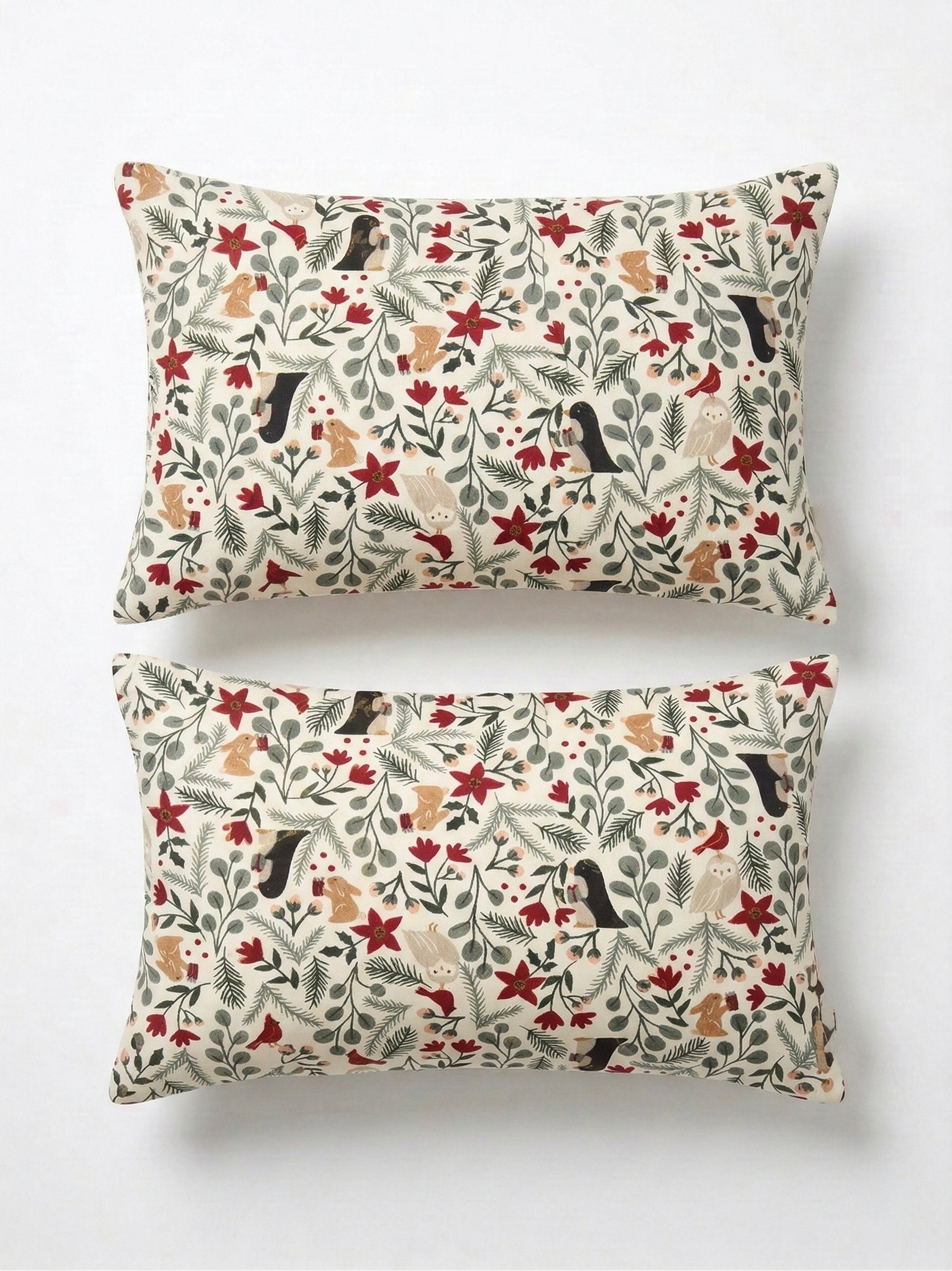 Vintage Botanical Sketch Pillow Cover Pair
